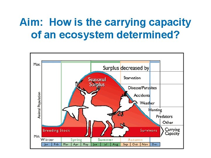 Aim: How is the carrying capacity of an ecosystem determined? 