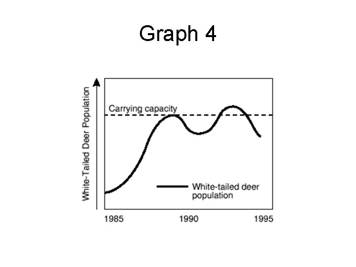 Graph 4 