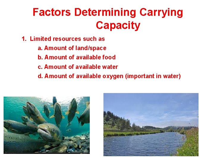 Factors Determining Carrying Capacity 1. Limited resources such as a. Amount of land/space b.