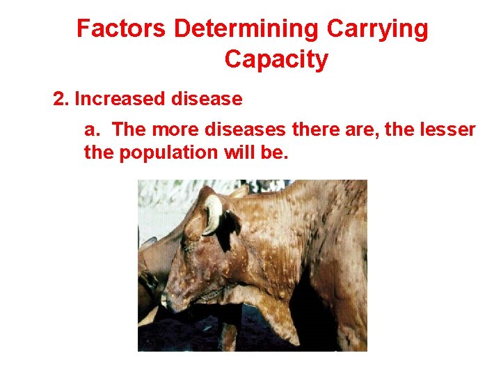Factors Determining Carrying Capacity 2. Increased disease a. The more diseases there are, the