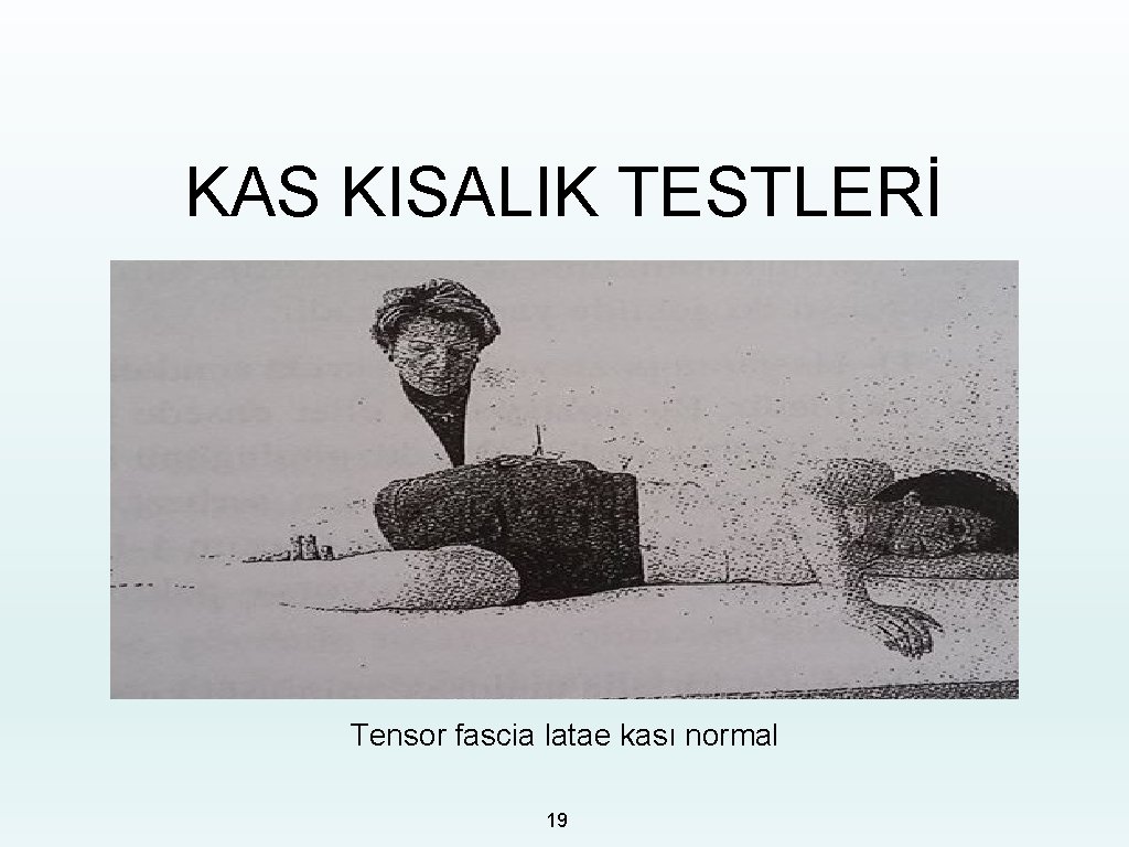 KAS KISALIK TESTLERİ Tensor fascia latae kası normal 19 