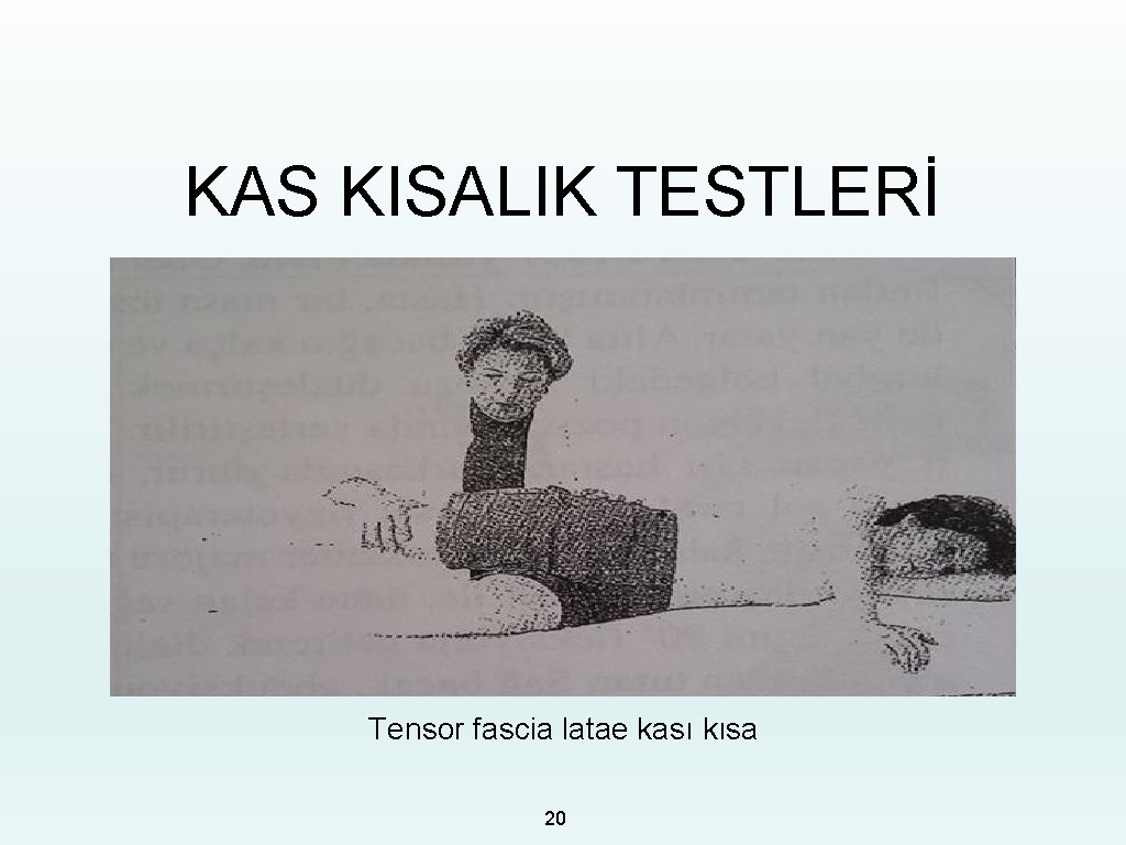 KAS KISALIK TESTLERİ Tensor fascia latae kası kısa 20 