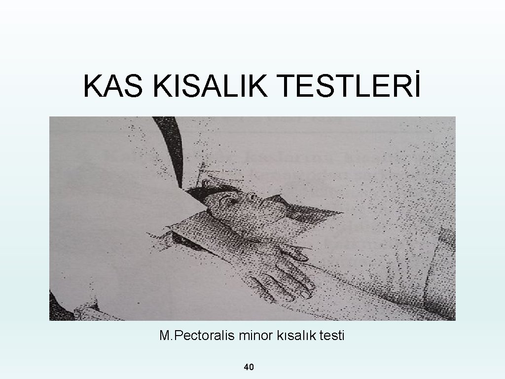 KAS KISALIK TESTLERİ M. Pectoralis minor kısalık testi 40 
