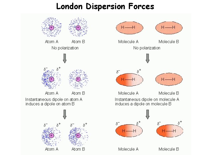 London Dispersion Forces 