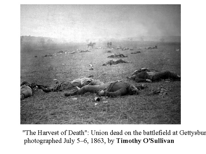 "The Harvest of Death": Union dead on the battlefield at Gettysbur photographed July 5–