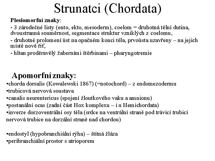 Strunatci (Chordata) Plesiomorfní znaky: - 3 zárodečné listy (ento, ekto, mesoderm), coelom = druhotná