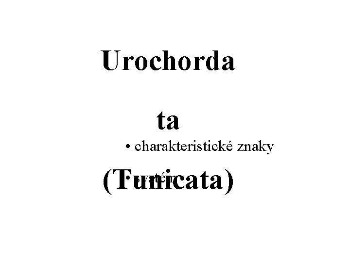 Urochorda ta • charakteristické znaky • systém (Tunicata) 