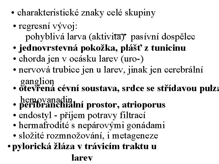  • charakteristické znaky celé skupiny • regresní vývoj: pohyblivá larva (aktivita) pasívní dospělec