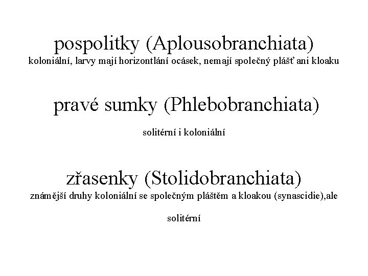 pospolitky (Aplousobranchiata) koloniální, larvy mají horizontlání ocásek, nemají společný plášť ani kloaku pravé sumky