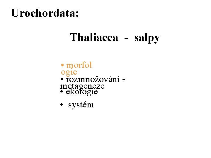 Urochordata: Thaliacea - salpy • morfol ogie • rozmnožování metageneze • ekologie • systém