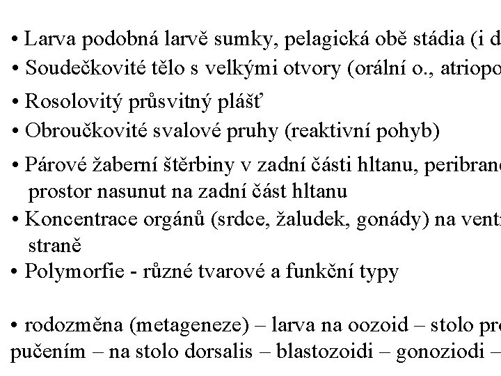  • Larva podobná larvě sumky, pelagická obě stádia (i do • Soudečkovité tělo