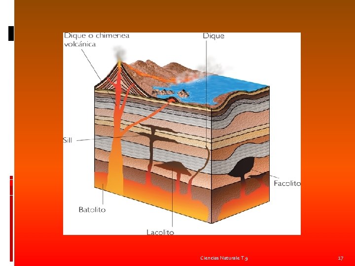 Ciencias Naturale T. 9 17 