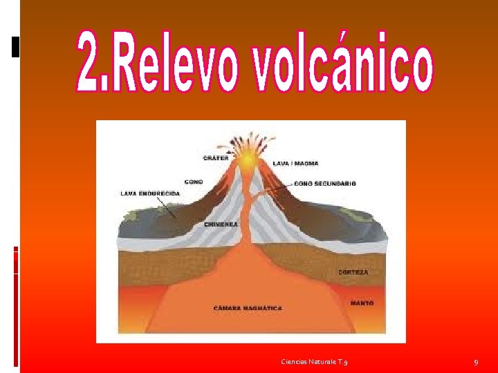 Ciencias Naturale T. 9 9 