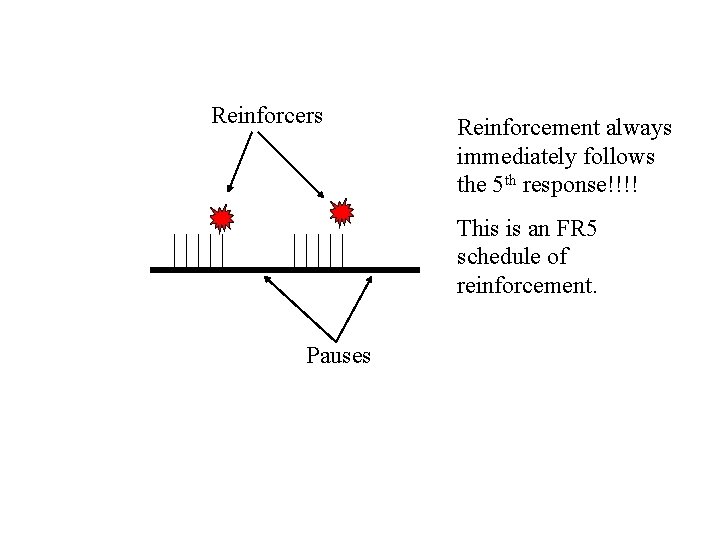 Reinforcers Reinforcement always immediately follows the 5 th response!!!! This is an FR 5