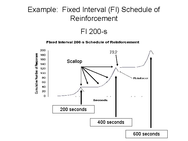 Example: Fixed Interval (FI) Schedule of Reinforcement FI 200 -s PRP Scallop 200 seconds
