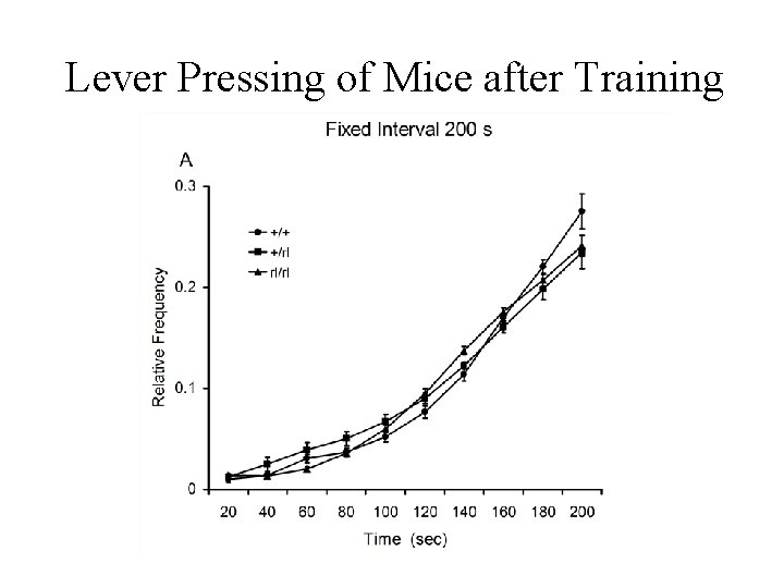 Lever Pressing of Mice after Training 