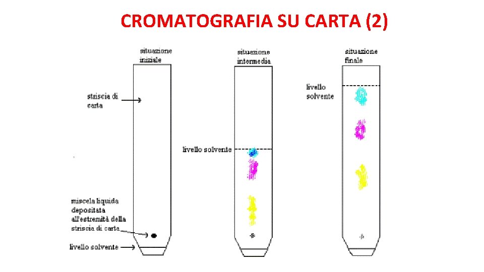 CROMATOGRAFIA SU CARTA (2) 