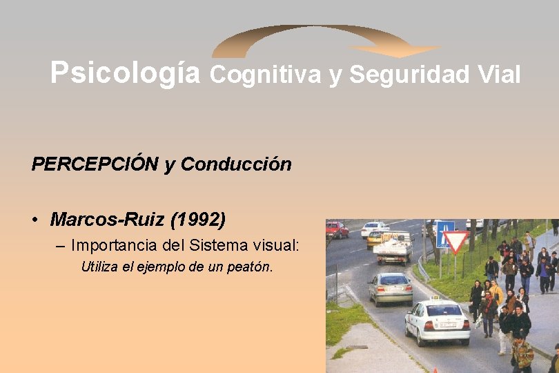 Psicología Cognitiva y Seguridad Vial PERCEPCIÓN y Conducción • Marcos-Ruiz (1992) – Importancia del