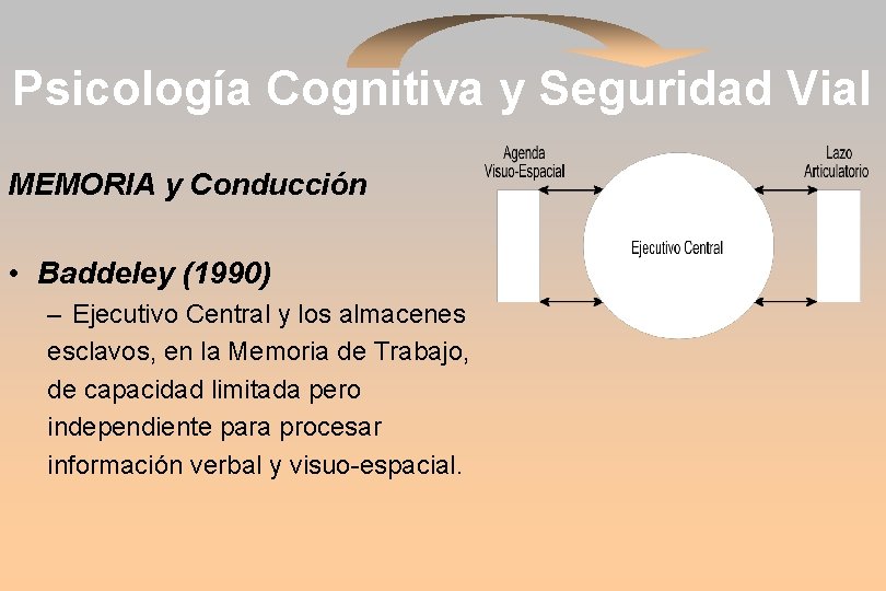 Psicología Cognitiva y Seguridad Vial MEMORIA y Conducción • Baddeley (1990) – Ejecutivo Central