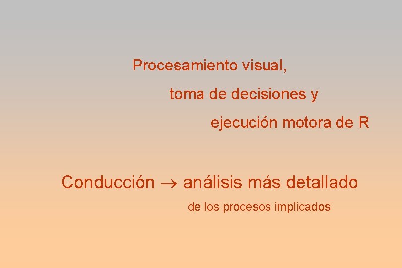 Procesamiento visual, toma de decisiones y ejecución motora de R Conducción análisis más detallado