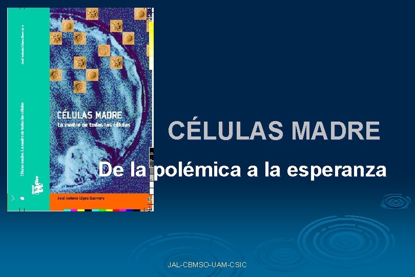 CÉLULAS MADRE De la polémica a la esperanza JAL-CBMSO-UAM-CSIC CÉLULAS MADRE De la polémica a la esperanza JAL-CBMSO-UAM-CSIC