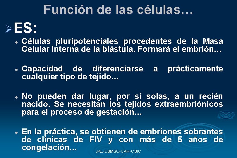 Función de las células… ØES: l l Células pluripotenciales procedentes de la Masa Celular Función de las células… ØES: l l Células pluripotenciales procedentes de la Masa Celular