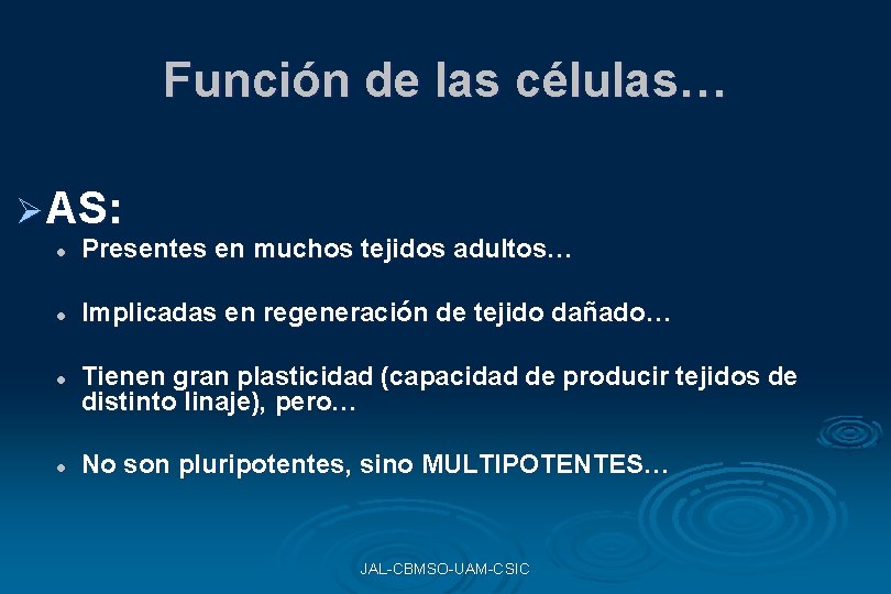Función de las células… Ø AS: l Presentes en muchos tejidos adultos… l Implicadas Función de las células… Ø AS: l Presentes en muchos tejidos adultos… l Implicadas