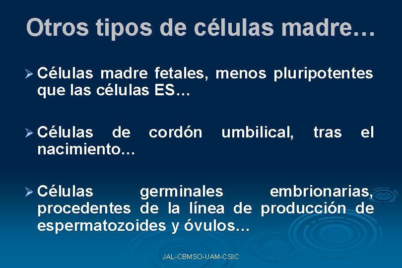Otros tipos de células madre… Ø Células madre fetales, menos pluripotentes que las células Otros tipos de células madre… Ø Células madre fetales, menos pluripotentes que las células