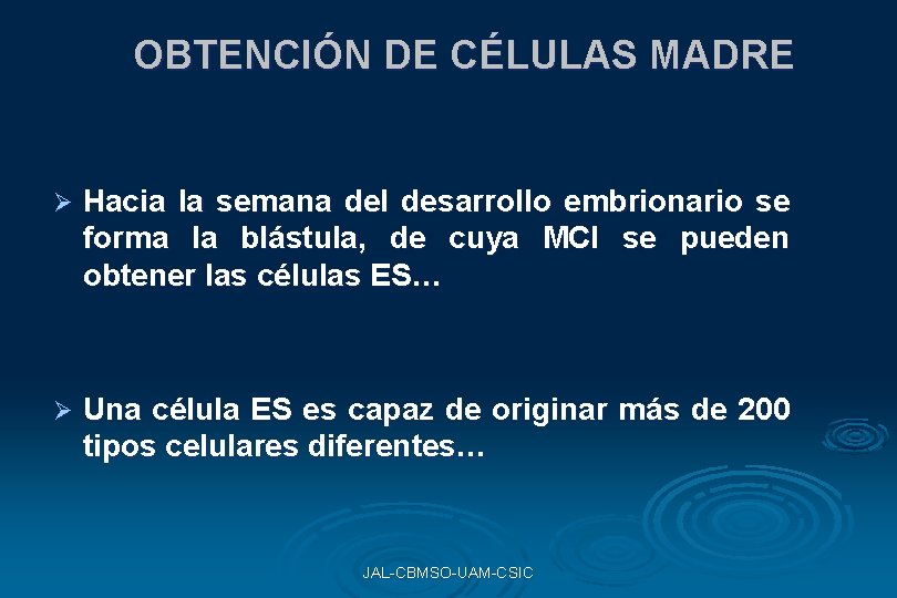 OBTENCIÓN DE CÉLULAS MADRE Ø Hacia la semana del desarrollo embrionario se forma la OBTENCIÓN DE CÉLULAS MADRE Ø Hacia la semana del desarrollo embrionario se forma la