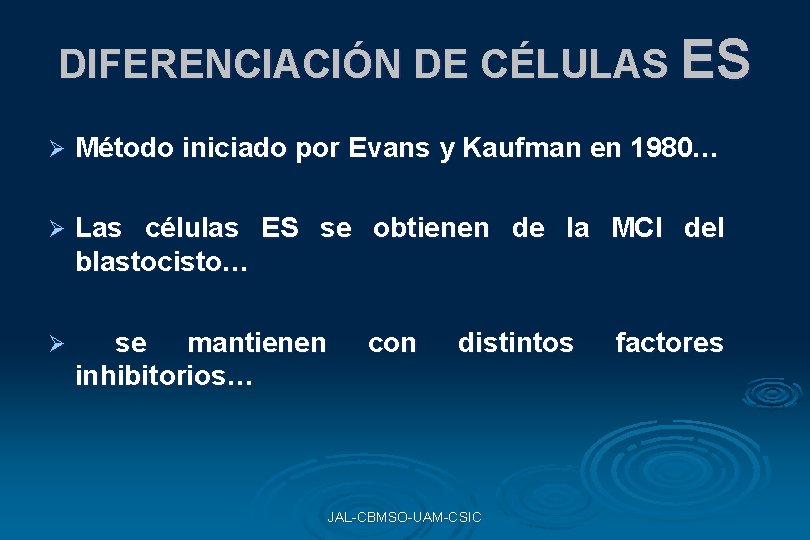 DIFERENCIACIÓN DE CÉLULAS ES Ø Método iniciado por Evans y Kaufman en 1980… Ø DIFERENCIACIÓN DE CÉLULAS ES Ø Método iniciado por Evans y Kaufman en 1980… Ø