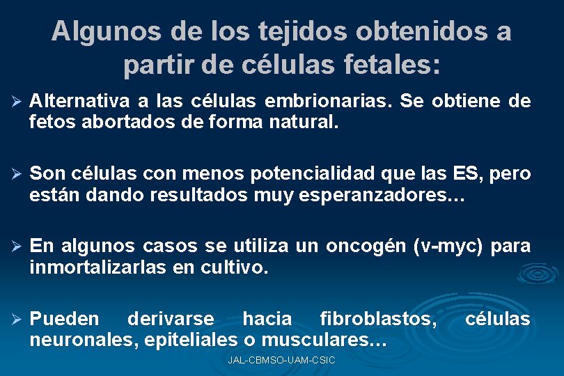 Algunos de los tejidos obtenidos a partir de células fetales: Ø Alternativa a las Algunos de los tejidos obtenidos a partir de células fetales: Ø Alternativa a las