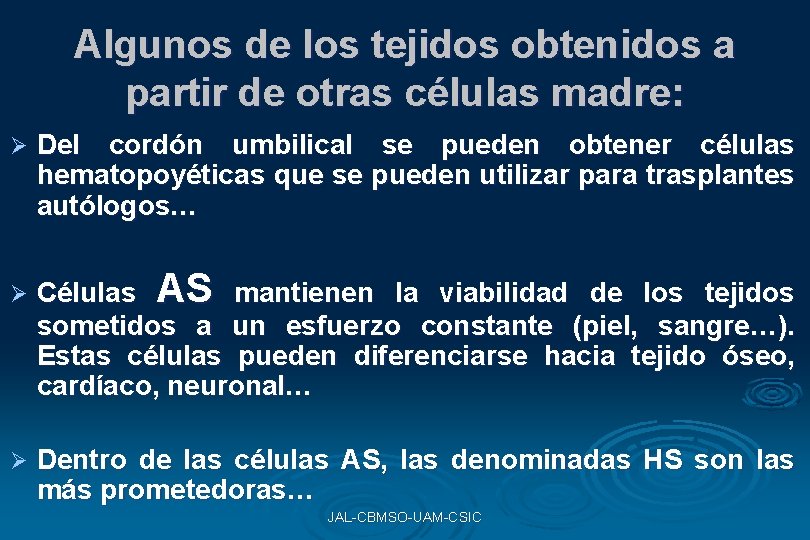 Algunos de los tejidos obtenidos a partir de otras células madre: Ø Ø Ø Algunos de los tejidos obtenidos a partir de otras células madre: Ø Ø Ø