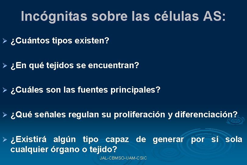 Incógnitas sobre las células AS: Ø ¿Cuántos tipos existen? Ø ¿En qué tejidos se Incógnitas sobre las células AS: Ø ¿Cuántos tipos existen? Ø ¿En qué tejidos se