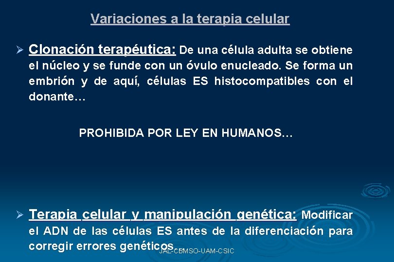Variaciones a la terapia celular Ø Clonación terapéutica: De una célula adulta se obtiene Variaciones a la terapia celular Ø Clonación terapéutica: De una célula adulta se obtiene