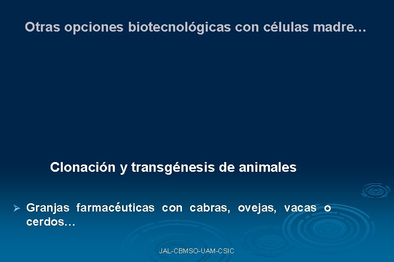 Otras opciones biotecnológicas con células madre… Clonación y transgénesis de animales Ø Granjas farmacéuticas Otras opciones biotecnológicas con células madre… Clonación y transgénesis de animales Ø Granjas farmacéuticas
