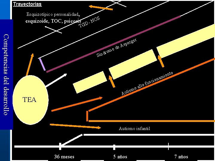 Trayectorias Esquizotípico personalidad, esquizoide, TOC, psicosis D- NOS TG Competencias del desarrollo er de