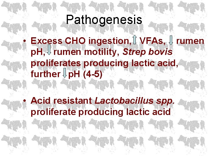 Pathogenesis • Excess CHO ingestion, VFAs, rumen p. H, rumen motility, Strep bovis proliferates