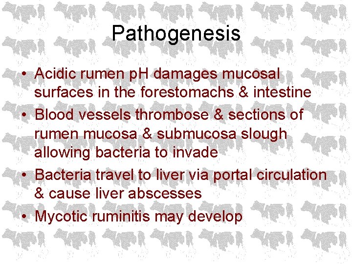 Pathogenesis • Acidic rumen p. H damages mucosal surfaces in the forestomachs & intestine