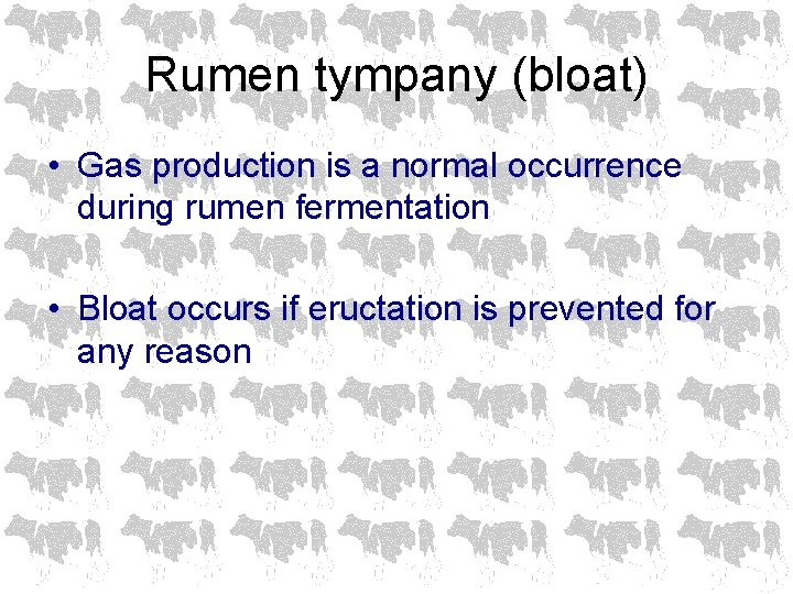 Rumen tympany (bloat) • Gas production is a normal occurrence during rumen fermentation •