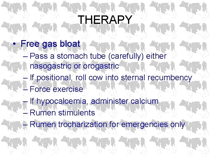 THERAPY • Free gas bloat – Pass a stomach tube (carefully) either nasogastric or