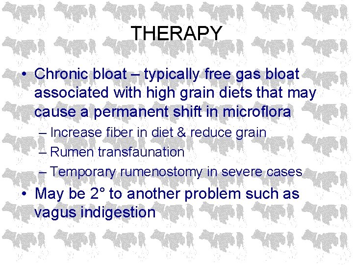 THERAPY • Chronic bloat – typically free gas bloat associated with high grain diets