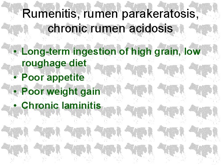 Rumenitis, rumen parakeratosis, chronic rumen acidosis • Long-term ingestion of high grain, low roughage