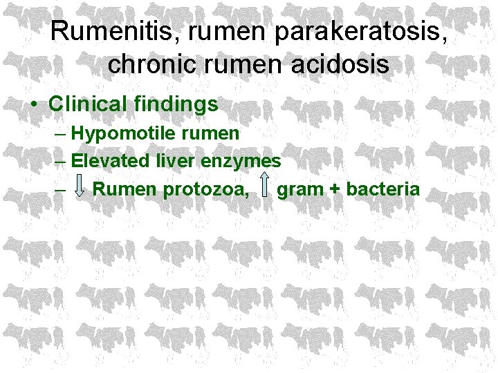 Rumenitis, rumen parakeratosis, chronic rumen acidosis • Clinical findings – Hypomotile rumen – Elevated