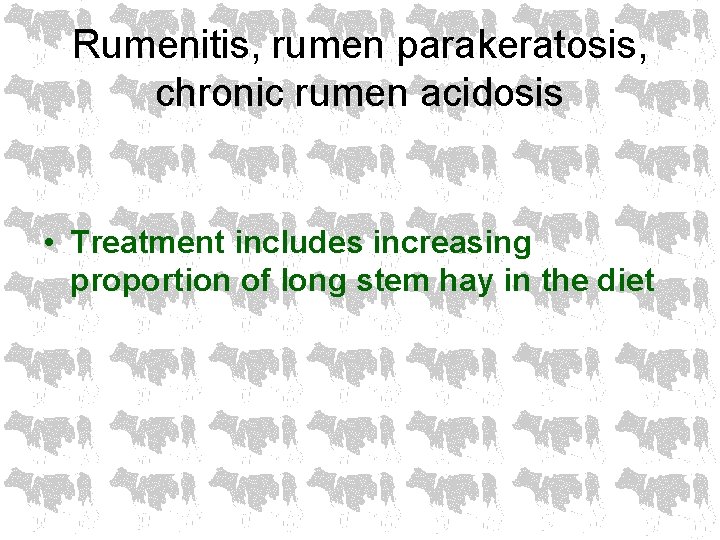 Rumenitis, rumen parakeratosis, chronic rumen acidosis • Treatment includes increasing proportion of long stem