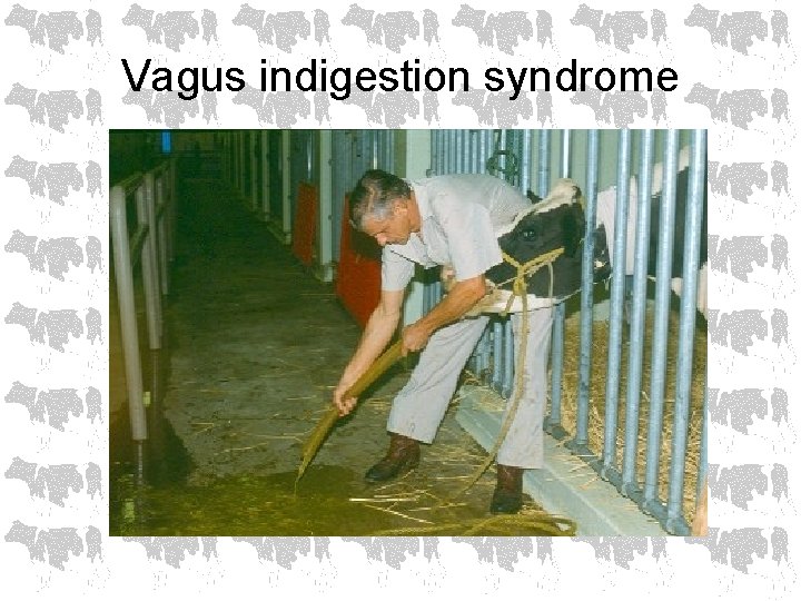 Vagus indigestion syndrome 