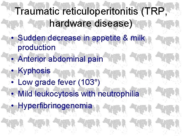 Traumatic reticuloperitonitis (TRP, hardware disease) • Sudden decrease in appetite & milk production •