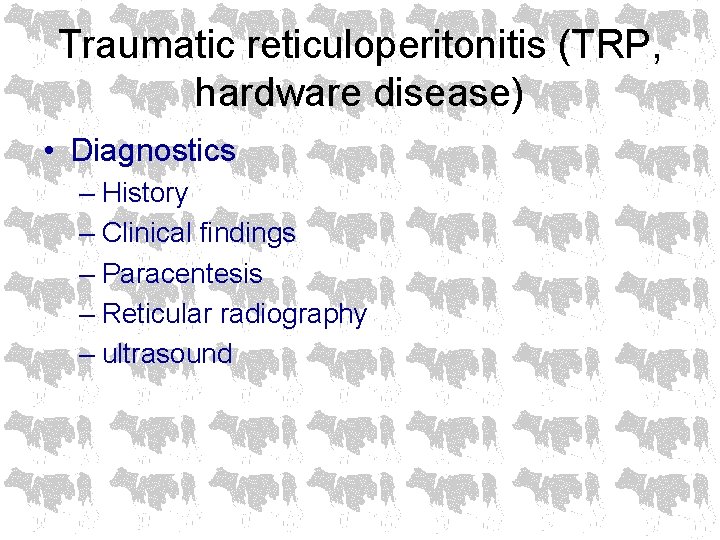 Traumatic reticuloperitonitis (TRP, hardware disease) • Diagnostics – History – Clinical findings – Paracentesis
