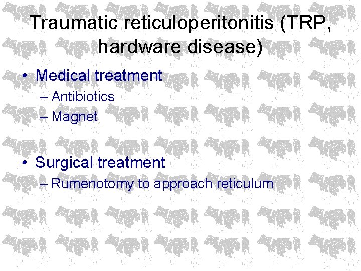 Traumatic reticuloperitonitis (TRP, hardware disease) • Medical treatment – Antibiotics – Magnet • Surgical