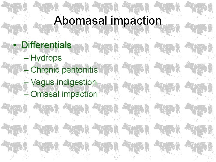 Abomasal impaction • Differentials – Hydrops – Chronic peritonitis – Vagus indigestion – Omasal