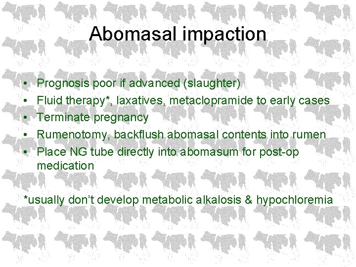 Abomasal impaction • • • Prognosis poor if advanced (slaughter) Fluid therapy*, laxatives, metaclopramide